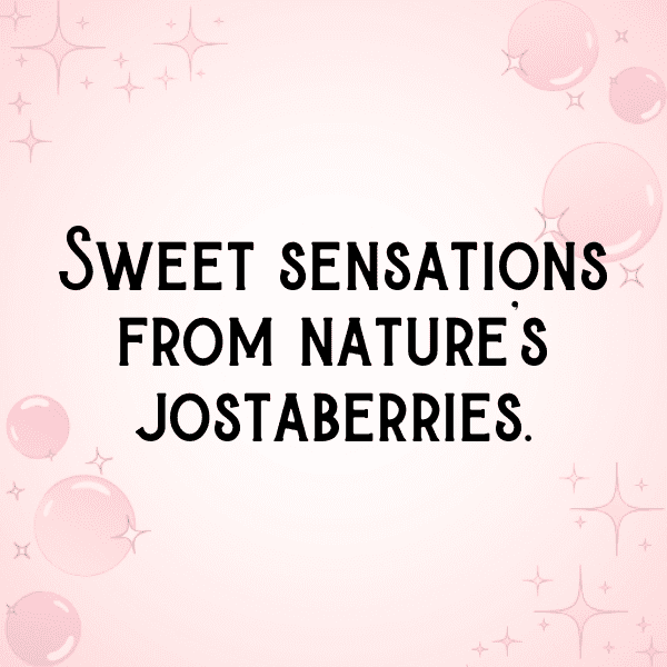 Jostaberry Captions Image For Instagram-FSBSZZ