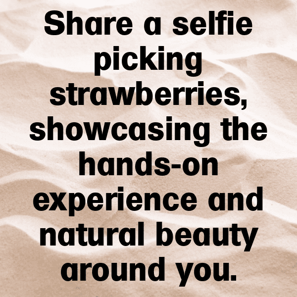 Jostaberry Captions Image For Instagram-kymTPs