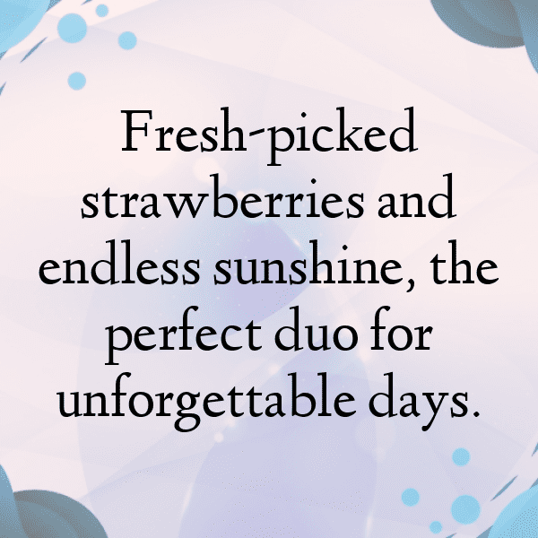 Jostaberry Captions Photo For Instagram-TNczL6