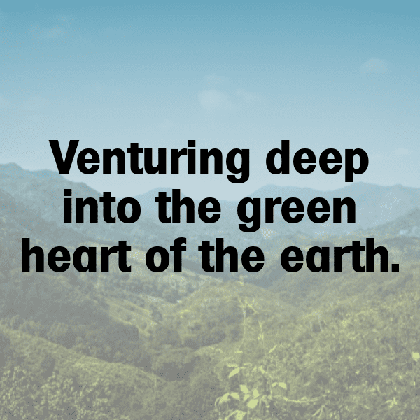 Jungle Trek Captions Image for Instagram-bUsaRF