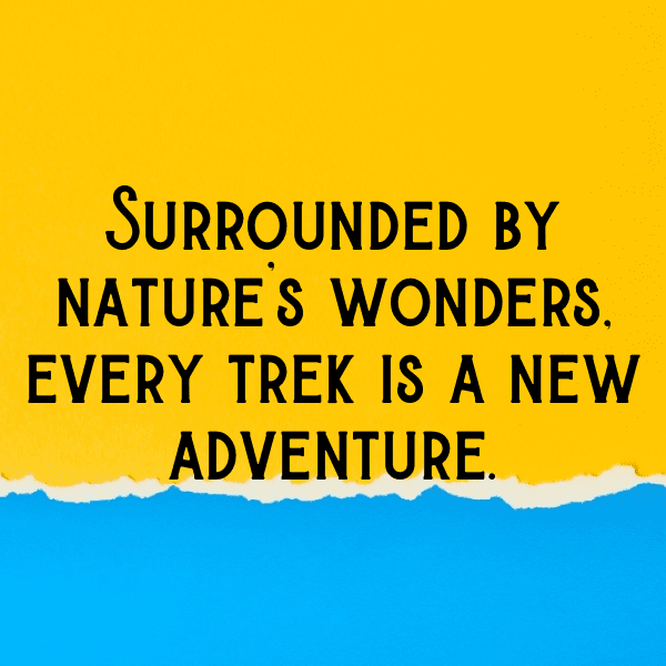 Jungle Trek Captions Image for Instagram-q20egb