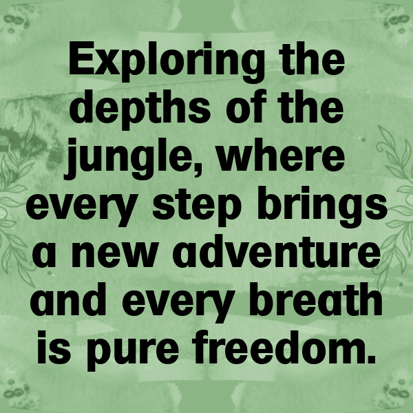 Jungle Trek Captions Image for Instagram-ubezkk