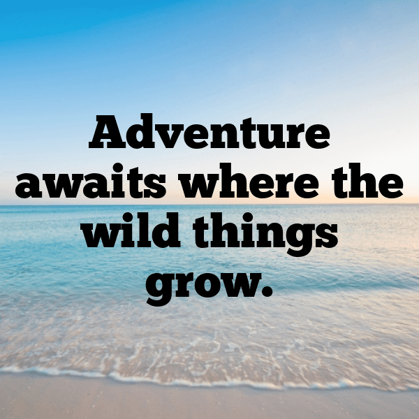 Jungle Trek Captions Photo for Instagram-SLNpPe