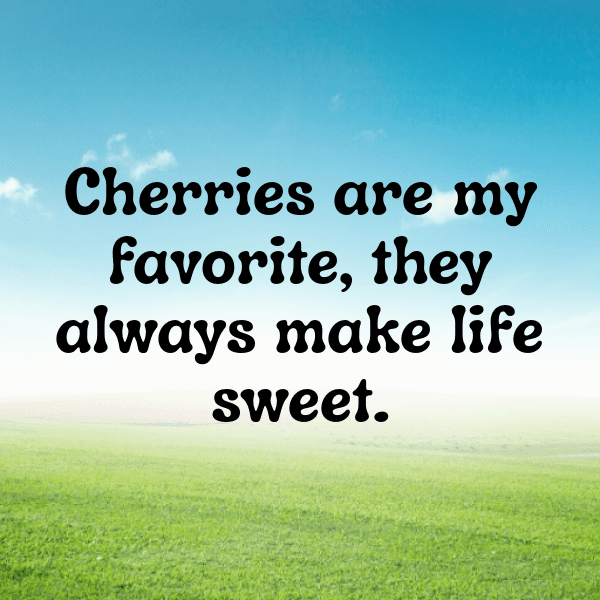 Kaffir Plum Captions Photo For Instagram-31OLgf