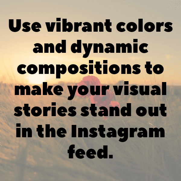 Kaffir Plum Captions Photo For Instagram-QHPxko