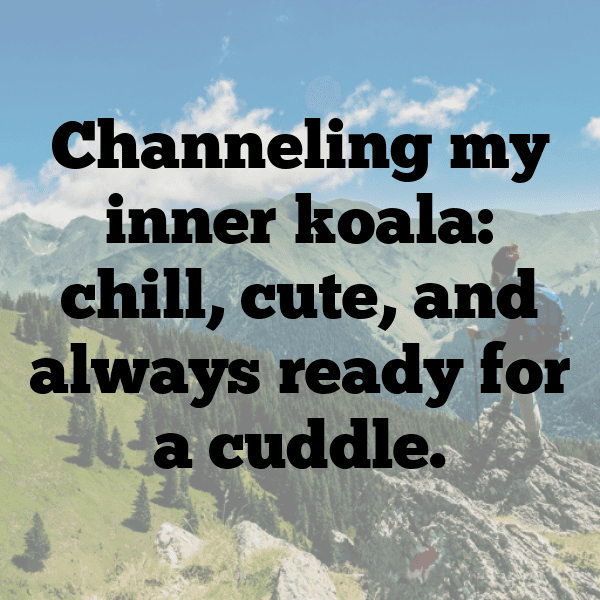 Kangaroo Captions Image For Instagram-ZVv9CM