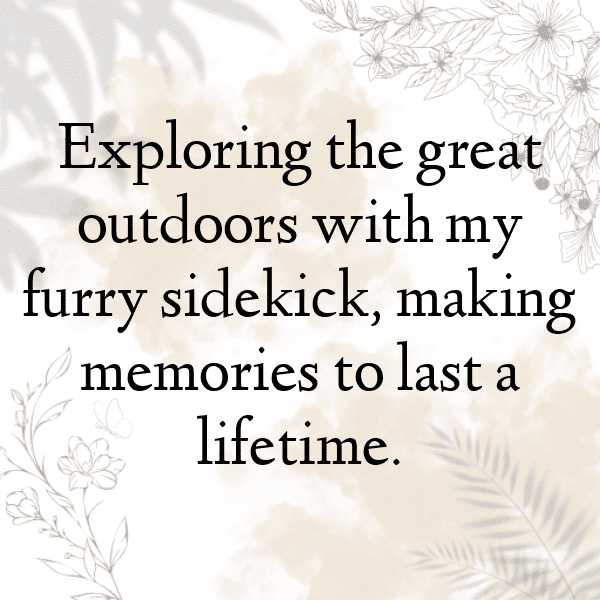 Kangaroo Captions Photo For Instagram-7aeP0B