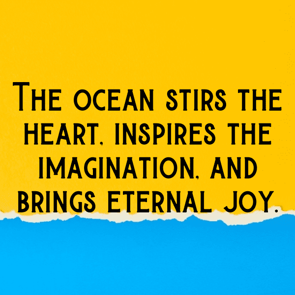 Kangaroo Captions Photo For Instagram-SfVvp5