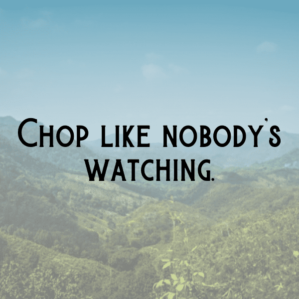 Karate Captions Image for Instagram-ll8CSW