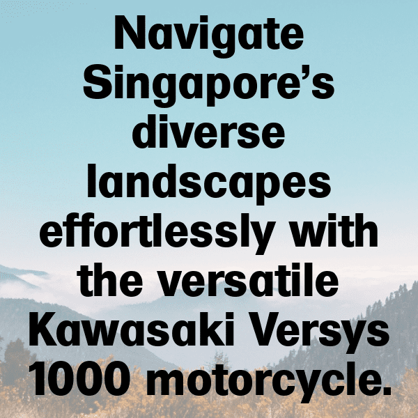Kawasaki Versys 650 Captions Photo for Instagram-E0Y39N