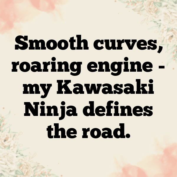 Kawasaki Vulcan S Captions Image for Instagram-vKCgQl