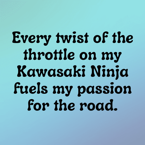 Kawasaki Vulcan S Captions Photo for Instagram-miuJmc