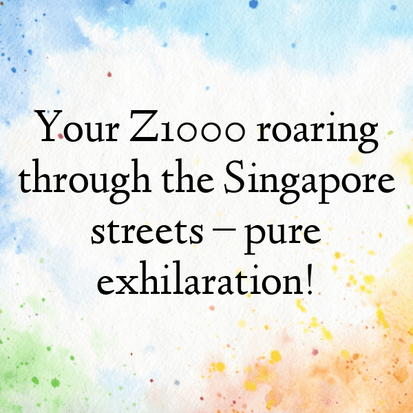 Kawasaki Z1000 Captions Image for Instagram-1x87N7