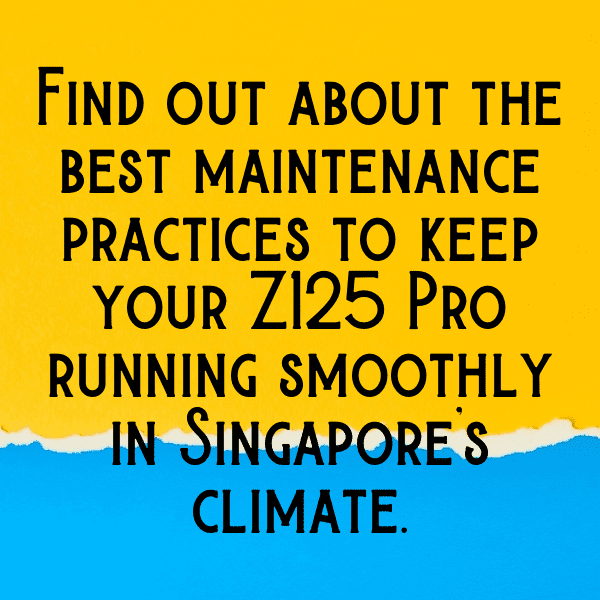 Kawasaki Z125 Pro Captions Image for Instagram-ZhM7cw