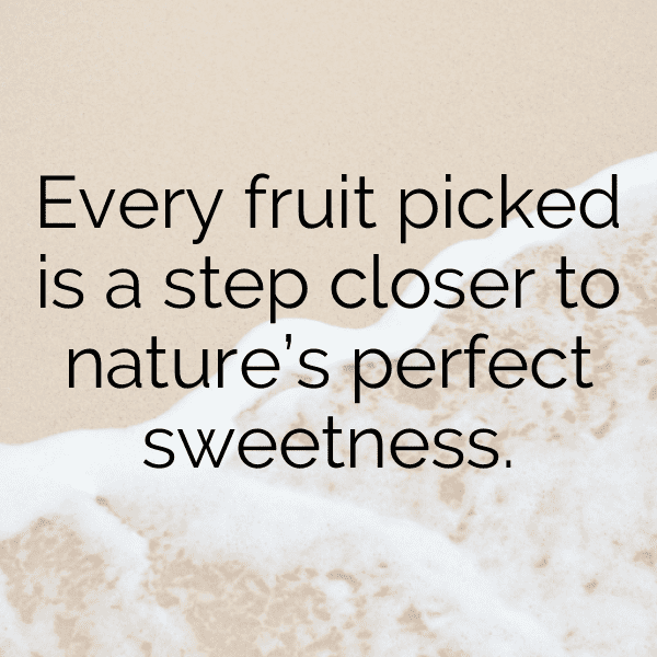 Kei Apple Captions Image For Instagram-cPqmus