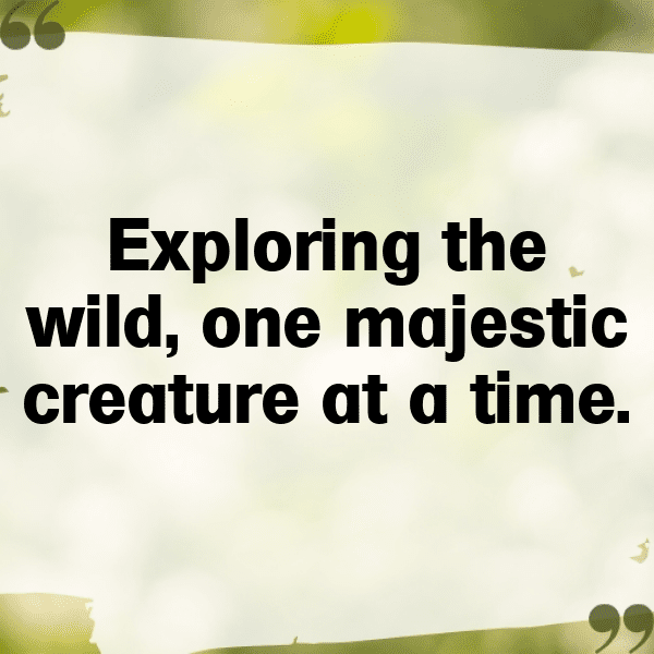 Kenya Captions Image For Instagram-9FyDOw