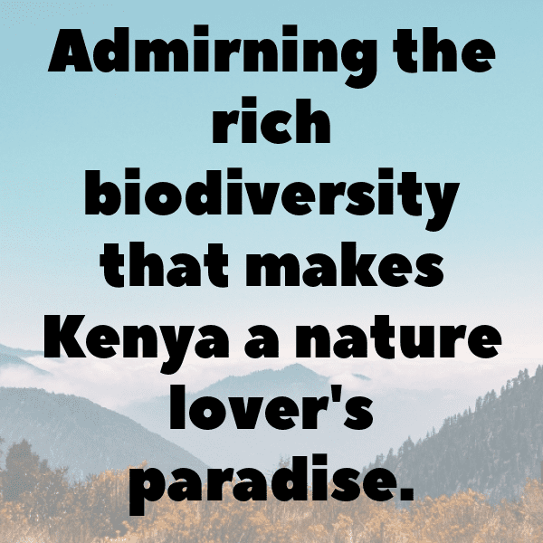 Kenya Captions Image For Instagram-gYln0L