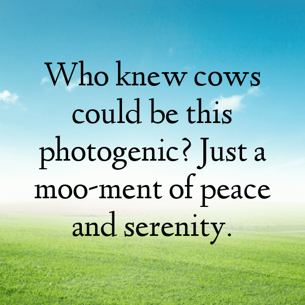 Kenya Captions Photo For Instagram-9PHDiV