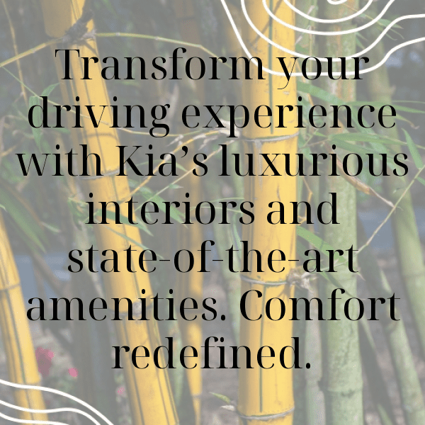 Kia Optima Captions Image for Instagram-oM9AW8