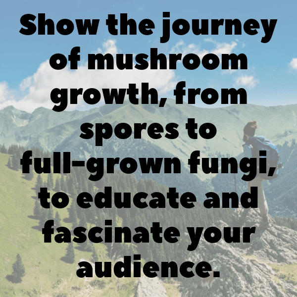 King Oyster Mushroom Captions Image For Instagram-PEkDVW