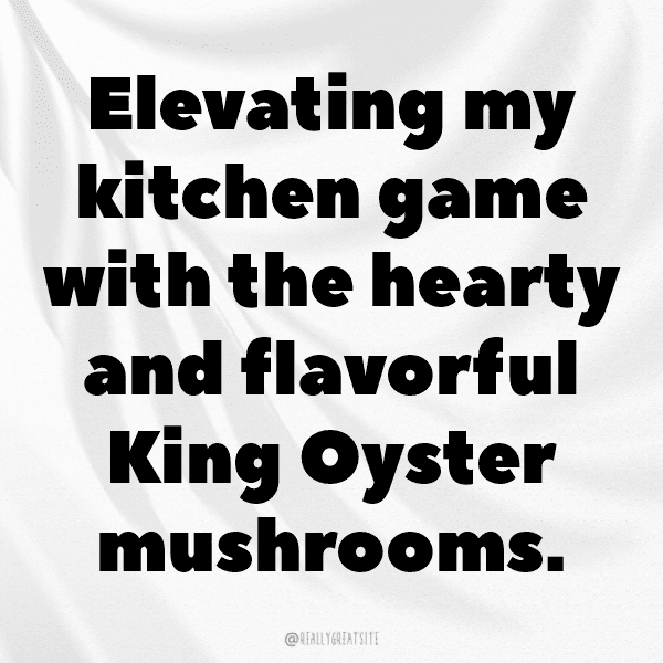King Oyster Mushroom Captions Image For Instagram-Q0Zpwh