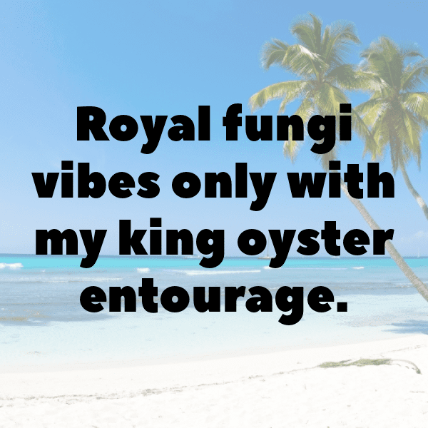 King Oyster Mushroom Captions Photo For Instagram-dT69gn