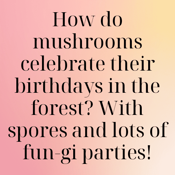 King Oyster Mushroom Captions Photo For Instagram-JCC9rU