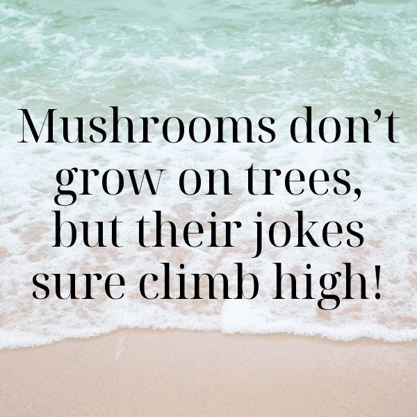 King Oyster Mushroom Captions Photo For Instagram-rHfmA7