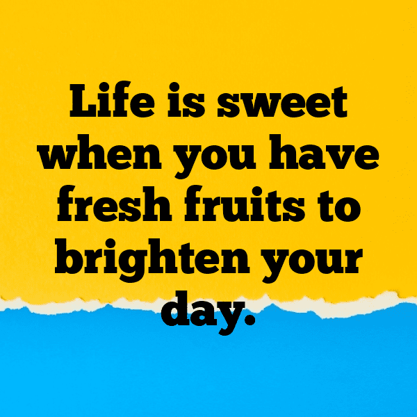 Kiwi Captions Image For Instagram-DjlvMY