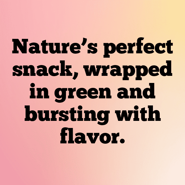 Kiwi Captions Photo For Instagram-U9Zddf