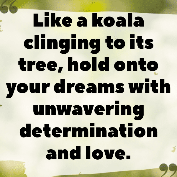 Koala Captions Photo For Instagram-17sGsx