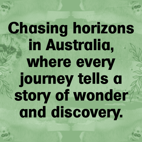 Koala Captions Photo For Instagram-EjSO0m