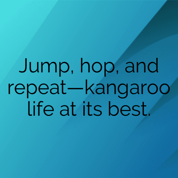 Koala Captions Photo For Instagram-tpkdyH