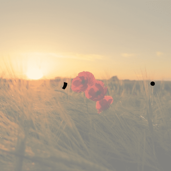 Korea, South Captions Photo For Instagram-oiLuft