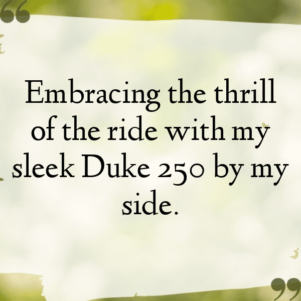 KTM 250 Duke Captions Photo for Instagram-7XiHrn