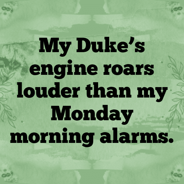 KTM 250 Duke Captions Photo for Instagram-UGLDSw