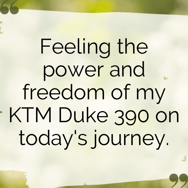 KTM 890 Duke Captions Image for Instagram-C8uBSB