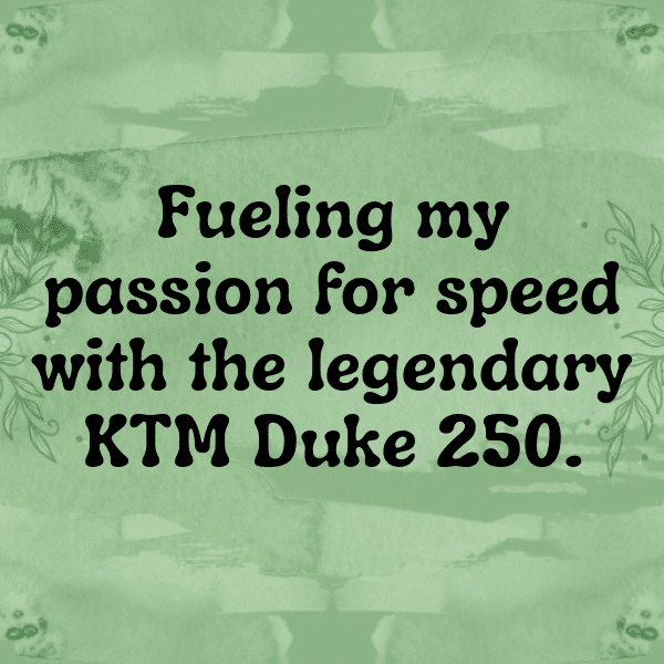 KTM 890 Duke Captions Photo for Instagram-S5pEVt