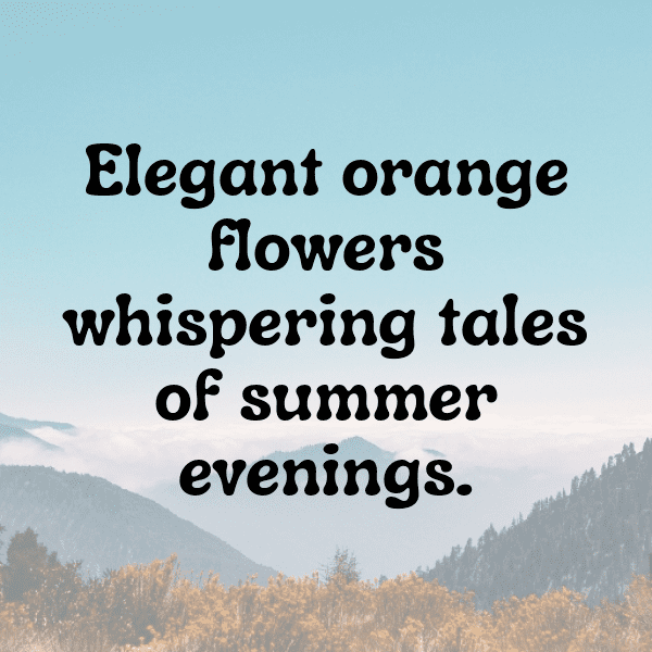 Kumquat Captions Image For Instagram-AT5OGY