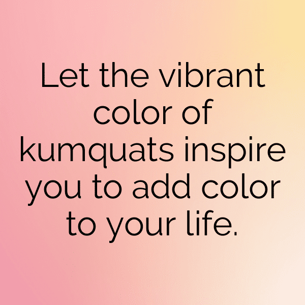 Kumquat Captions Photo For Instagram-gb6mHT