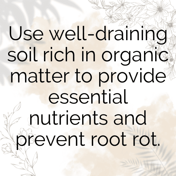 Kumquat Captions Photo For Instagram-O24O7T