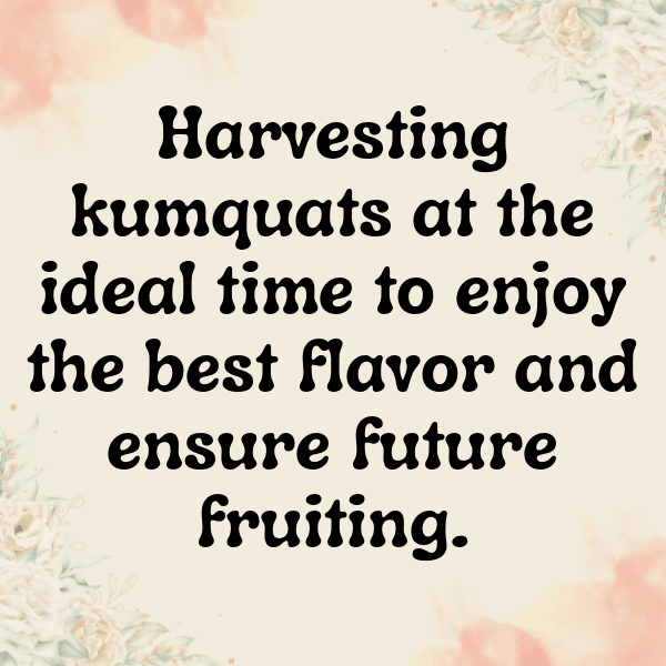 Kumquat Captions Photo For Instagram-OhYcqd