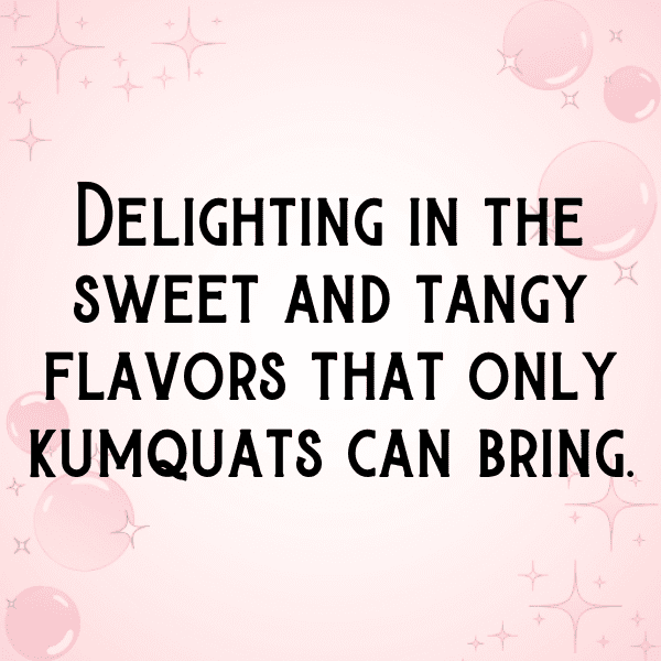 Kumquat Captions Photo For Instagram-pTlNSc