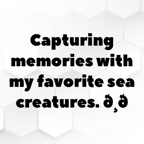 Lamprey Captions Photo For Instagram-L7IRLd