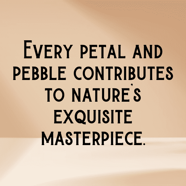 Land Cress Captions Image For Instagram-8oe0qS