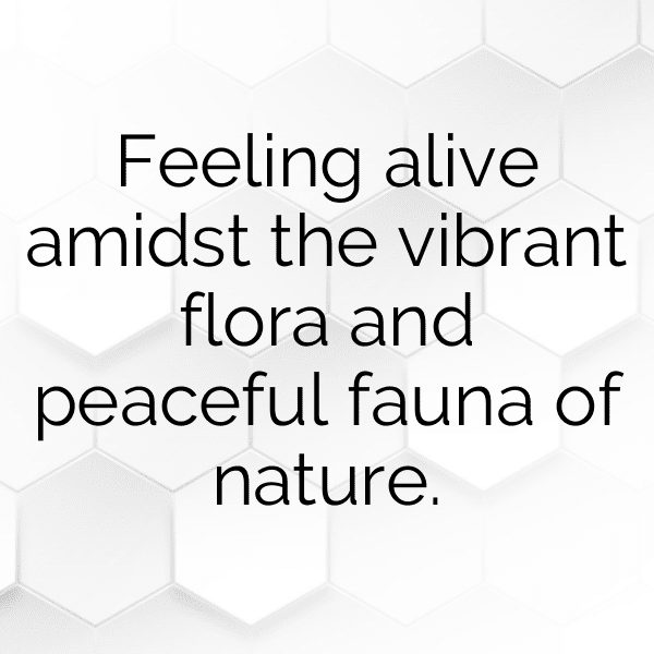 Land Cress Captions Image For Instagram-aJbjTe