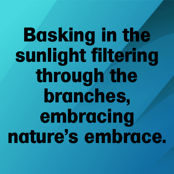 Land Cress Captions Photo For Instagram-96tDQn