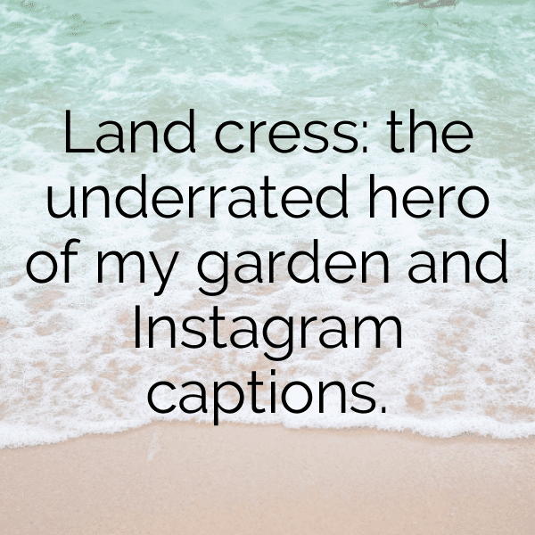 Land Cress Captions Photo For Instagram-Ji8DC9