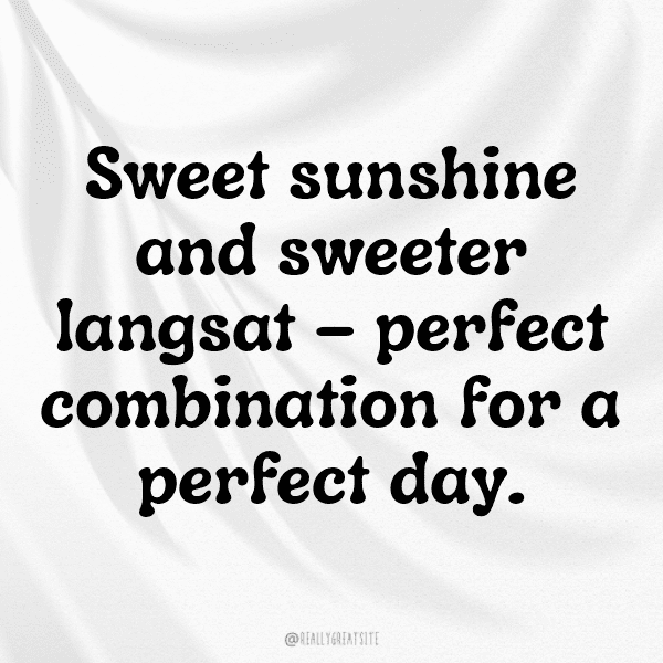Langsat Captions Image For Instagram-5ADpwR