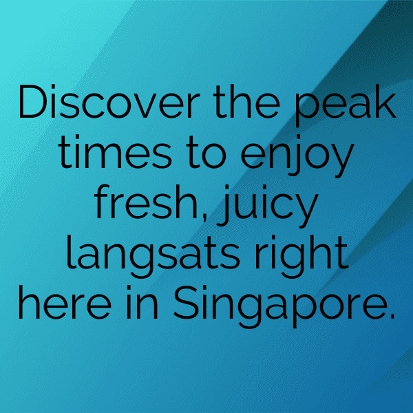 Langsat Captions Image For Instagram-PmmV2R